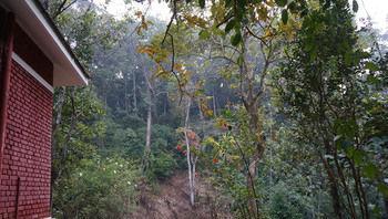 Falling Waters Munnar Dış mekan fotoğraf
