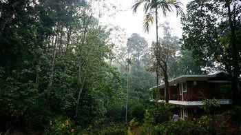 Falling Waters Munnar Dış mekan fotoğraf