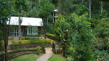 Falling Waters Munnar Dış mekan fotoğraf