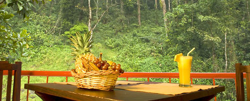 Falling Waters Munnar Dış mekan fotoğraf